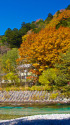 錦秋の上高地 梓川と黄葉 