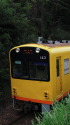 Y電車で行こう