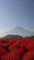 秋の富士山