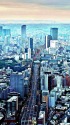 東京鳥瞰3