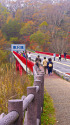 八ヶ岳高原ライン・東沢大橋