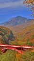 八ヶ岳の秋