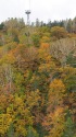 栂池ロープウェイの紅葉