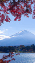 富士山ともみじ