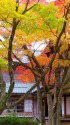 東経苑