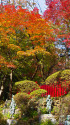 高尾山の紅葉