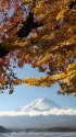 紅葉に富士山