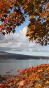 紅葉の中に山中湖