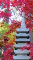 萬福寺