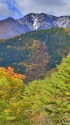 秋の山肌