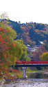 飛騨高山・中橋と紅葉
