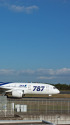 B787 JA801A