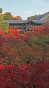 東福寺(撮影禁止前)