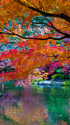 小石川後楽園 水辺の紅葉