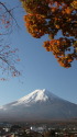 晩秋の富士山