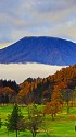 雲海