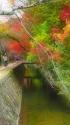 哲学の道