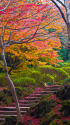 錦秋の旧古河庭園