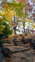 芝公園の紅葉～1
