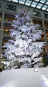 ホワイトクリスマスツリー（2）