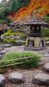 旧古河庭園の日本庭園