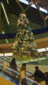 エアポートのXmasツリー