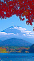 回顧2016秋 富士山と紅葉