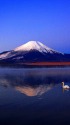 秀麗富士の嶺