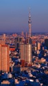 新宿たそがれ