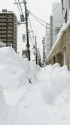 札幌の積雪