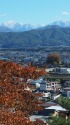 春日公園からの南アルプス