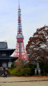 東京タワー