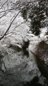 冬の東照宮