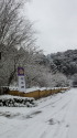 雪の東照宮にて