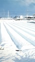 雪景色