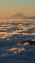 雲海の富士