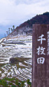 世界農業遺産 白米千枚田