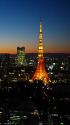 東京トワイライトビュー