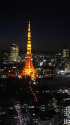 東京ナイトビュー