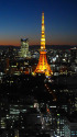 東京トワイライト