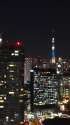 東京ナイトビュー