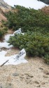 燕山荘ブラザーズ