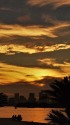 お台場の夕景