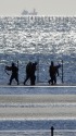 海で働く人々