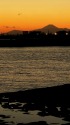 葛西臨海公園の夕景