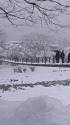 雪の白川郷 ・であい橋
