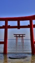 有明海の海中鳥居