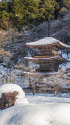 雪の金剛院三重塔