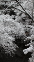 雪の松平東照宮