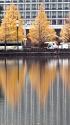 朝の和田倉濠
